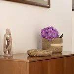 Santa Barbara Flat *